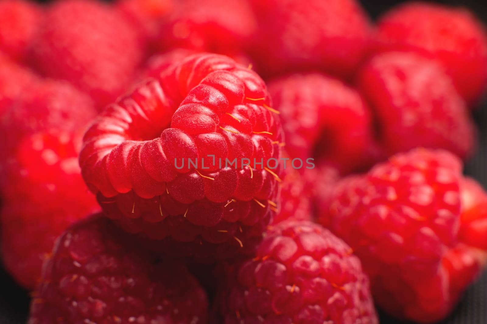 Close up, a bunch of fresh and ripe red raspberries. Pink raspberry macro shot.