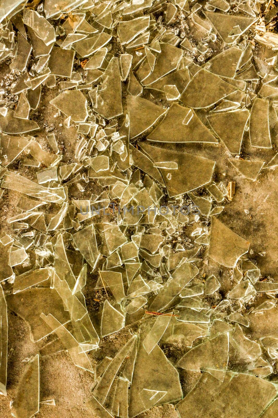 Shattered Reflections: Broken Glass Texture by DakotaBOldeman