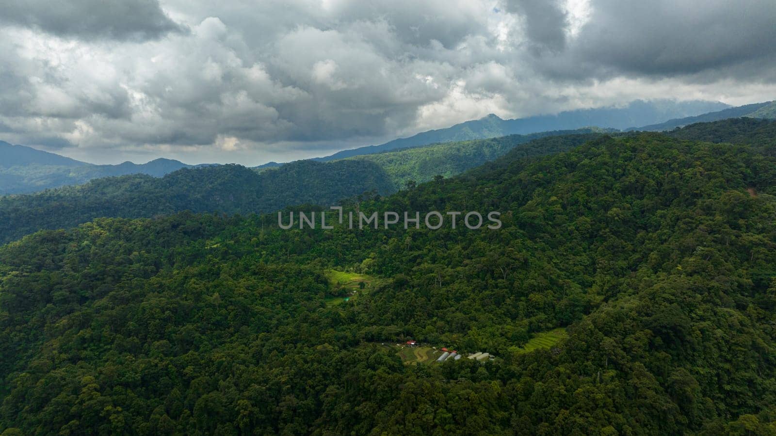 Slopes of mountains with evergreen vegetation. Negros, Philippines
