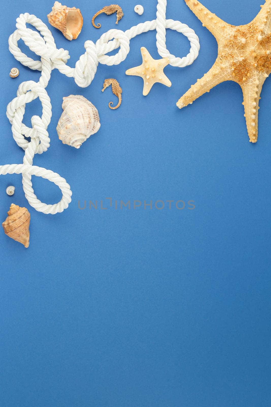 Starfish with seashells on blue background. Photo top view with copy space. Concept of beach holiday on the coast. Marine rope with seahorse. Flat lay.