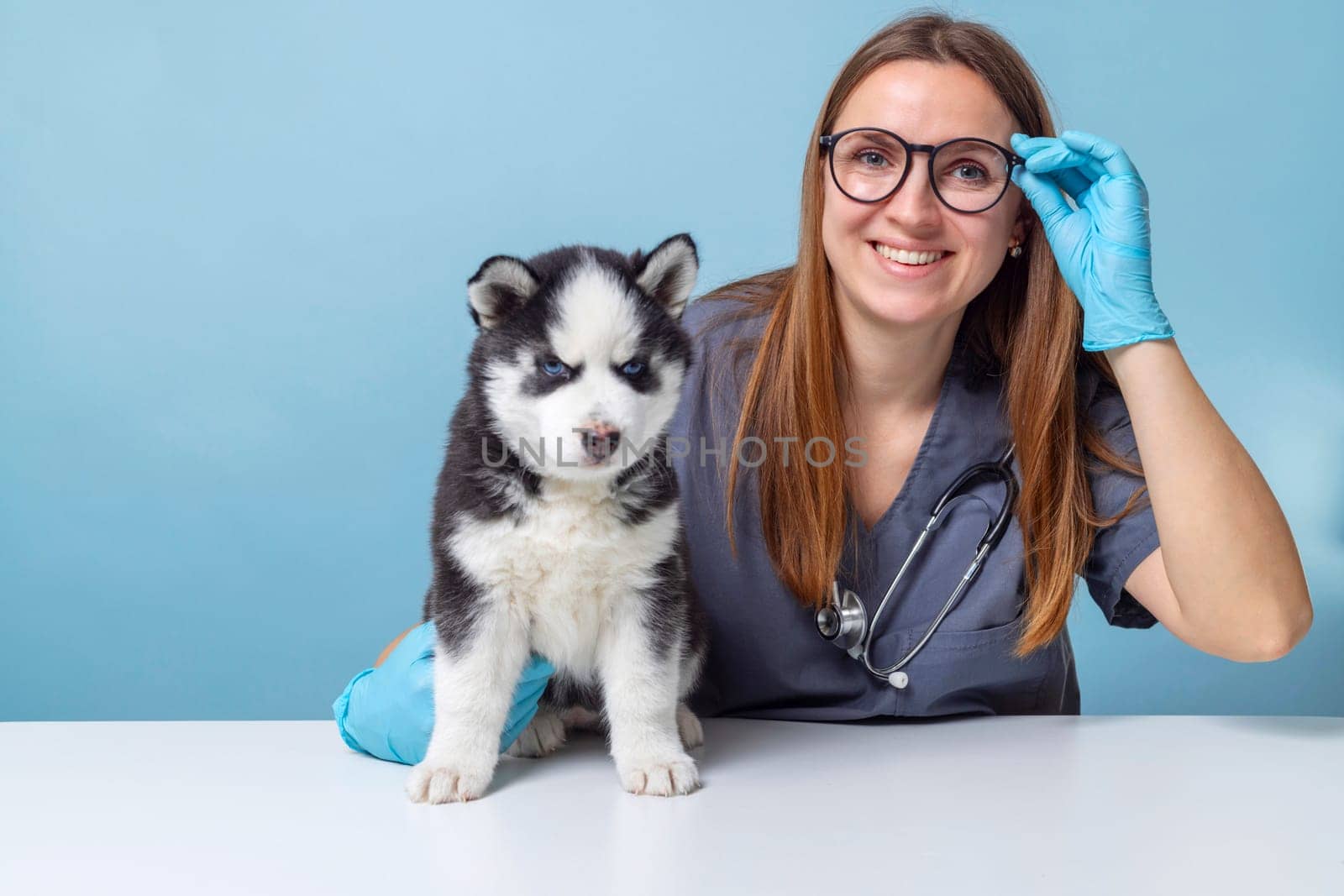 Veterinarian with puppy. Studio pet portrait on blue background. Pet care and health concept.