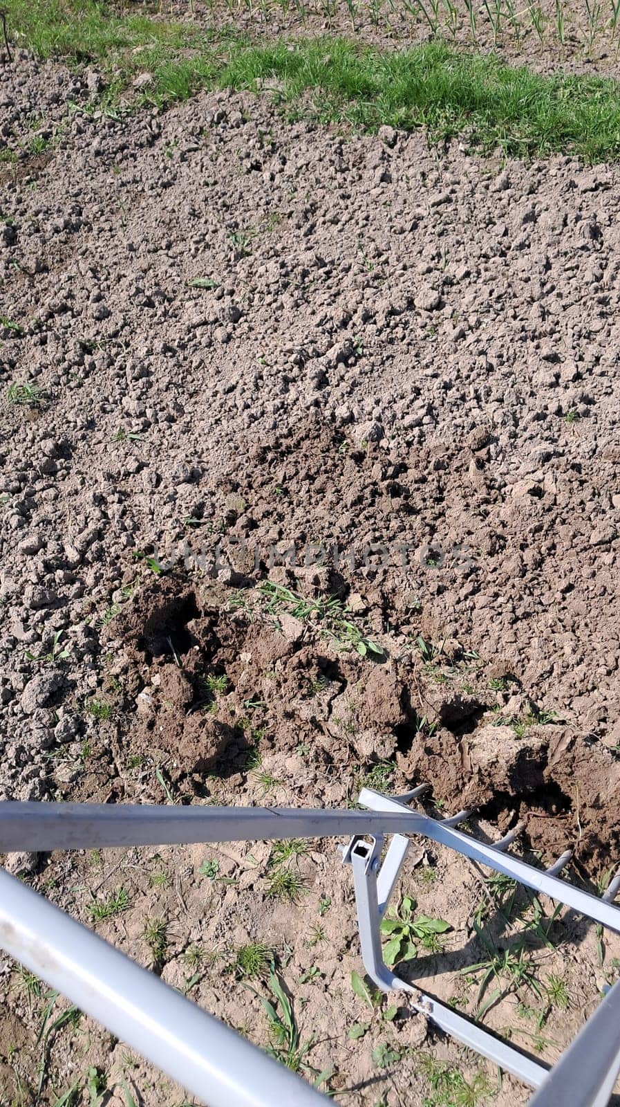 Hand shovel for digging and loosening the a garden