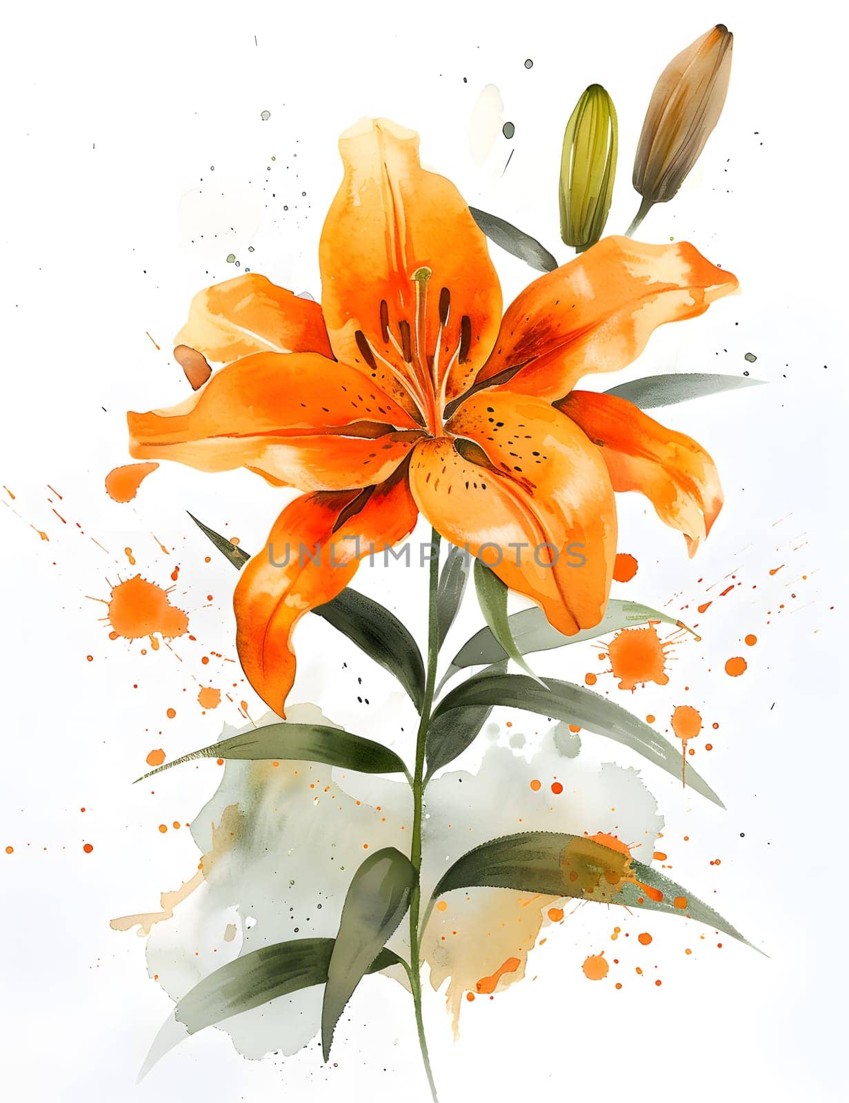A beautiful watercolor painting capturing the vibrant colors of an orange lily with green leaves on a white background, showcasing the intricate details of this flowering plant in stunning art