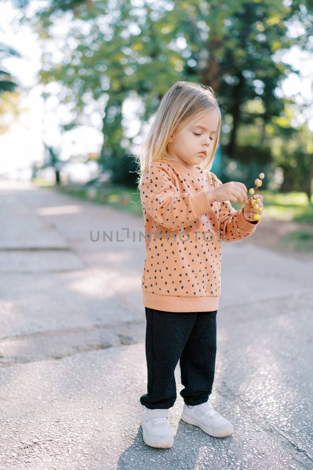 Little girl looks at yellow wildflowers in her hand while standing on the road in a green garden. High quality photo