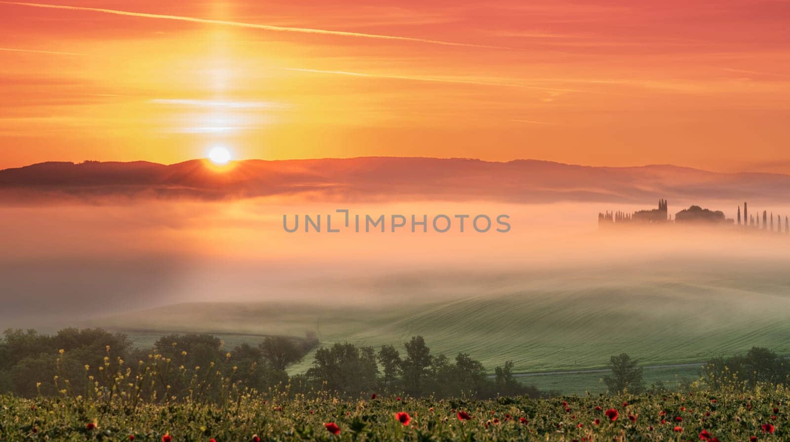 Pienza, Tuscany, Italy – April 13, 2024: House surrounded by cypress trees among the misty morning sun-drenched hills of the Val d'Orcia valley at sunrise in San Quirico d'Orcia, Tuscany, Italy by Sonat