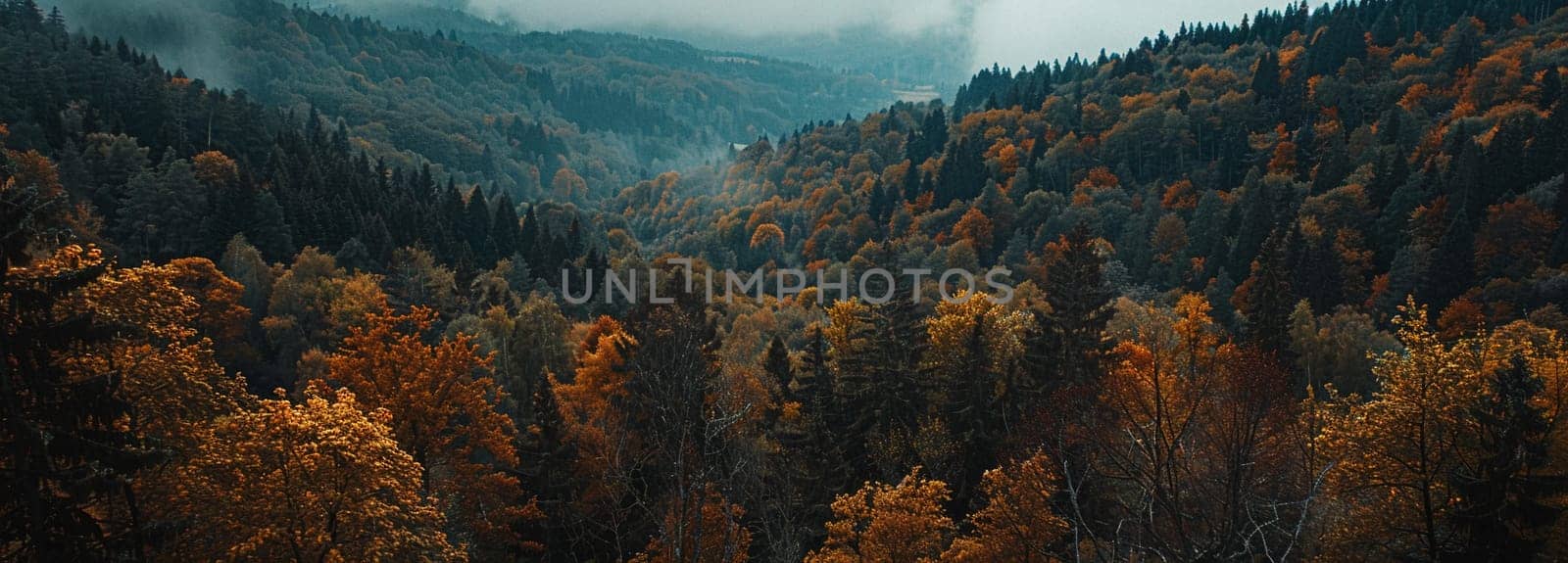 Scenic autumn forest landscape with rich oranges and yellows. Ideal background for graphic design and seasonal themes.