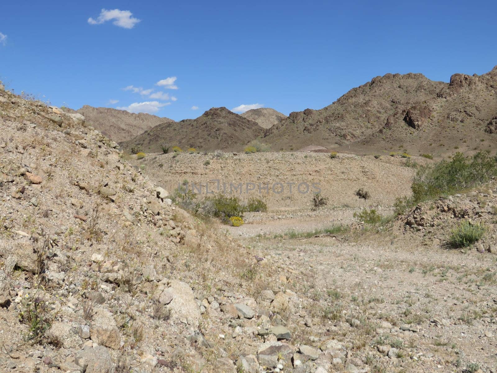 View of Old Dirt Road - Arizona Desert - Arid Rocky Terrain. High quality photo