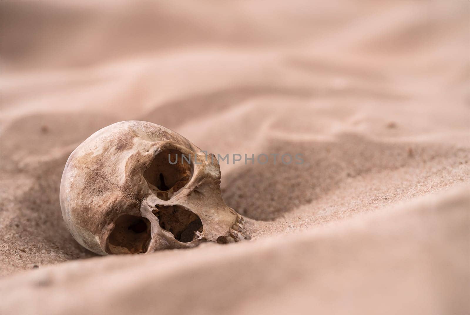 Human Skull In The Sand by mrdoomits