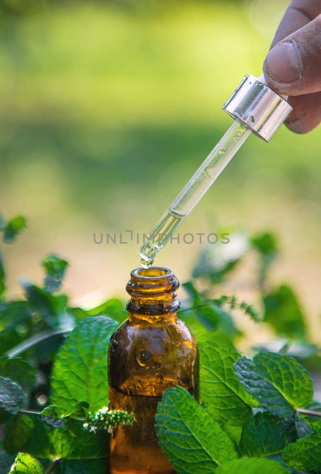 Peppermint essential oil in a bottle. selective focus. by yanadjana