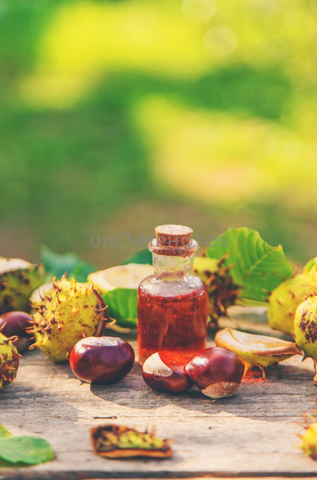 Horse chestnut extract in a bottle. selective focus. nature.