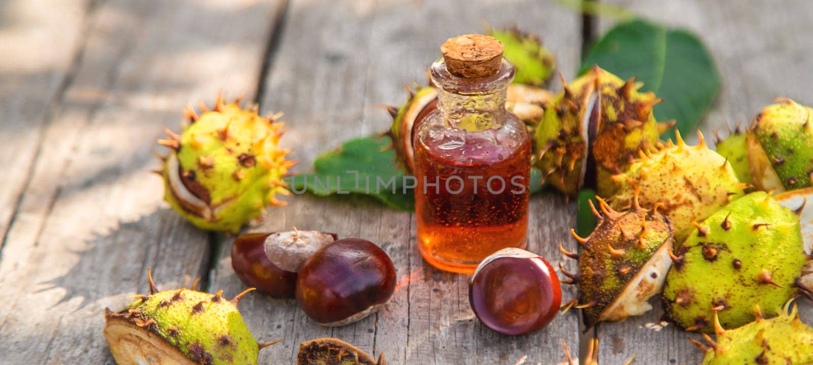 Horse chestnut extract in a bottle. selective focus. by yanadjana