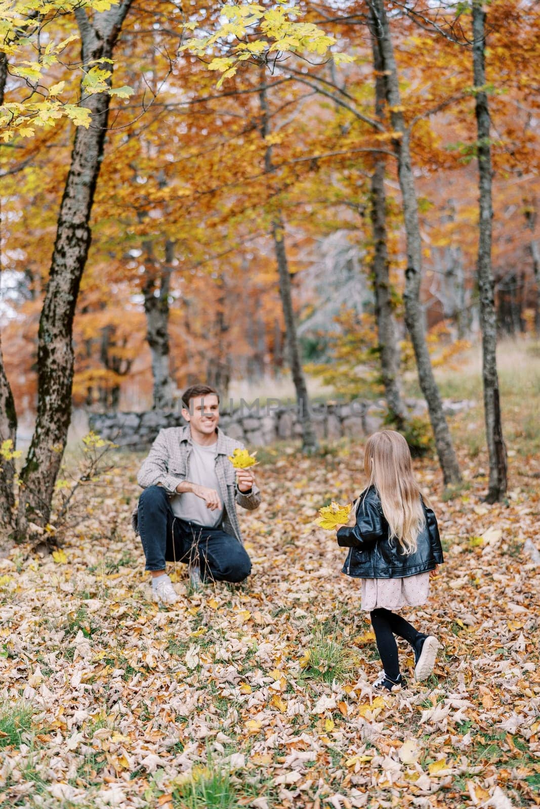Little girl with yellow leaves in her hand walks through the autumn park to her dad with yellow foliage in his hand. High quality photo