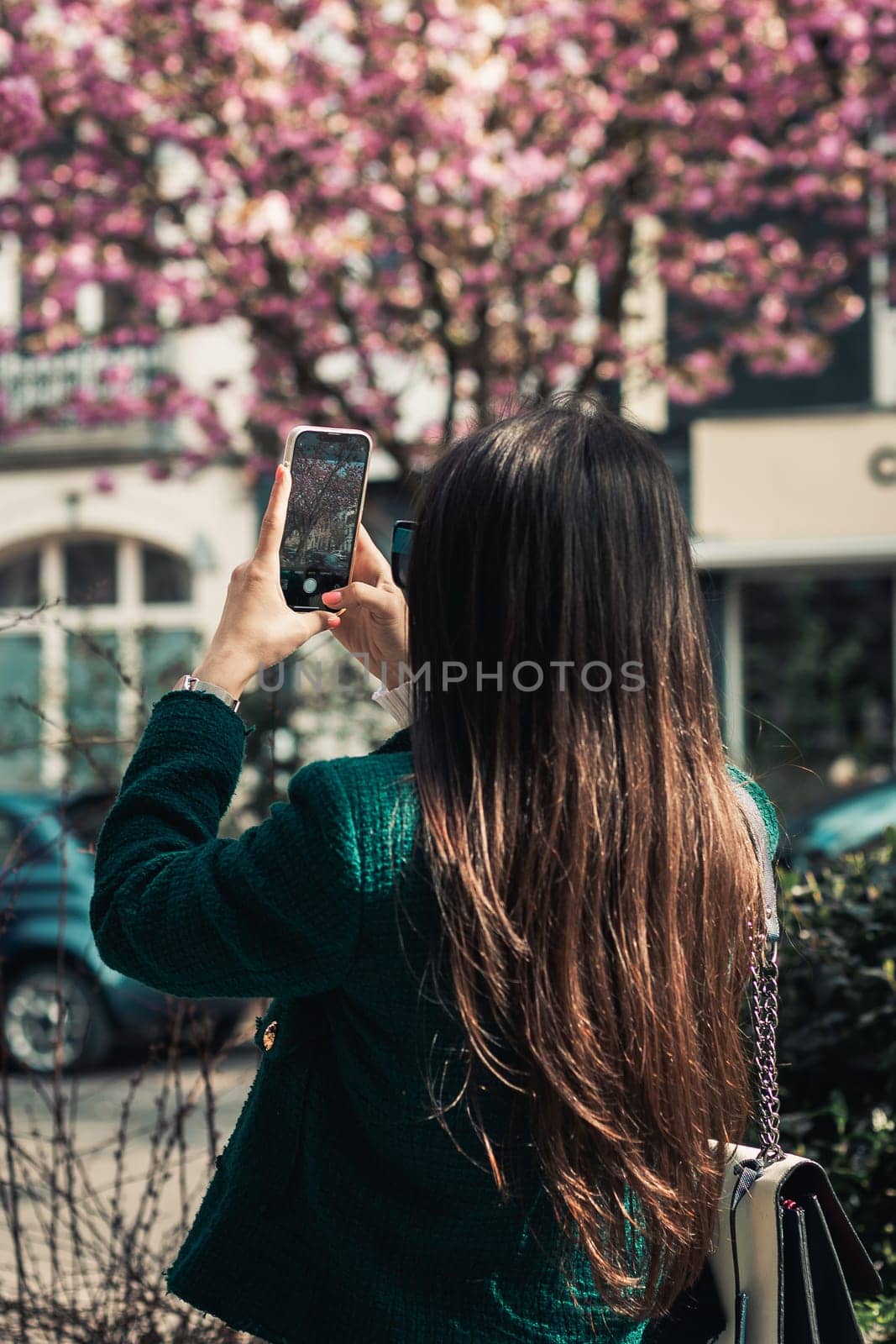 One young beautiful caucasian brunette girl with long flowing hair in a green jacket from the back stands on a city street and shoots a video of flowering sakura trees on a smartphone, side view close-up.