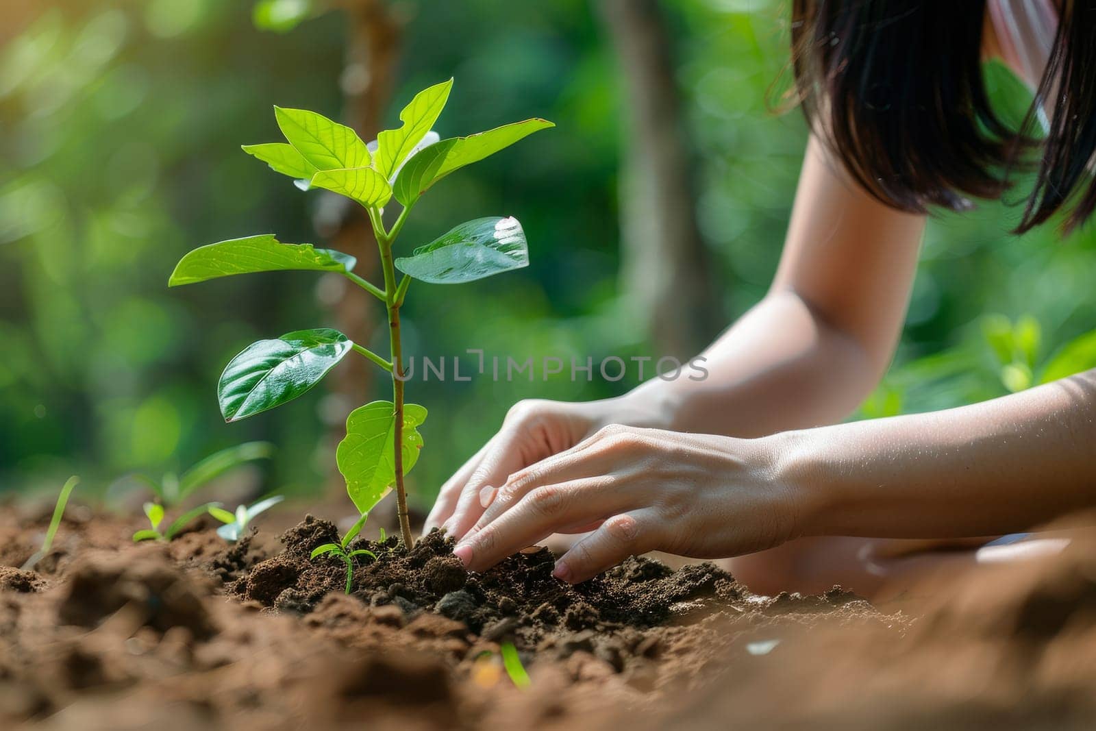 Woman hands planting tree in the garden. Save the world concept.