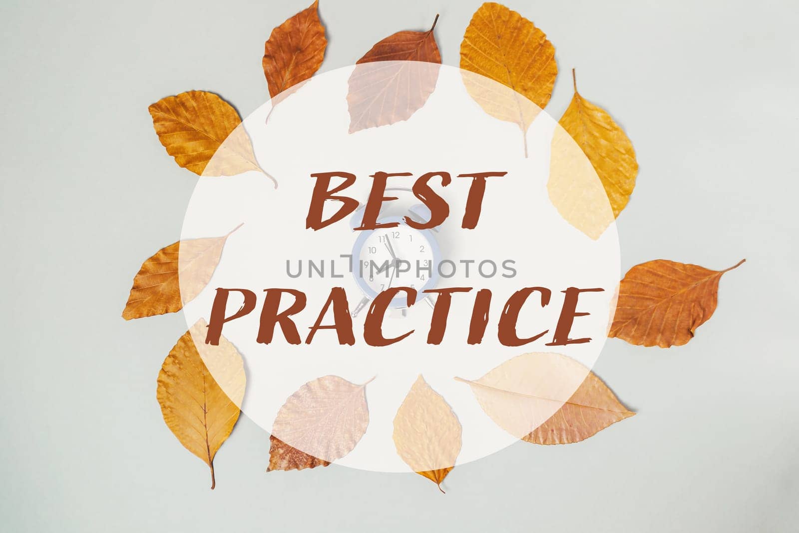 A circle of leaves with a clock in the center and the words Best Practice written around it. Concept of time management and the importance of practicing good habits