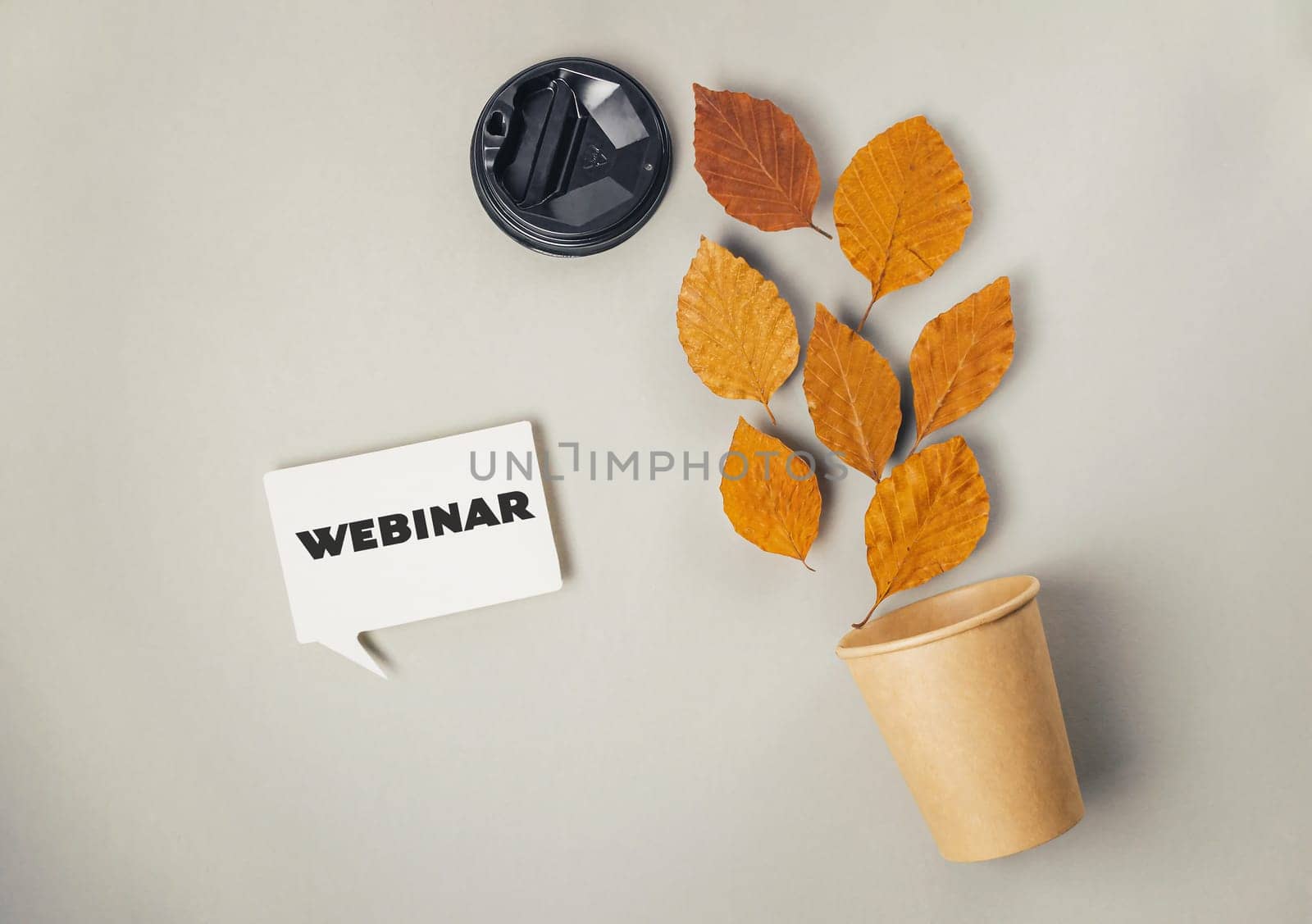 A white sign with the word "webinar" written on it is placed next to a potted plant with leaves