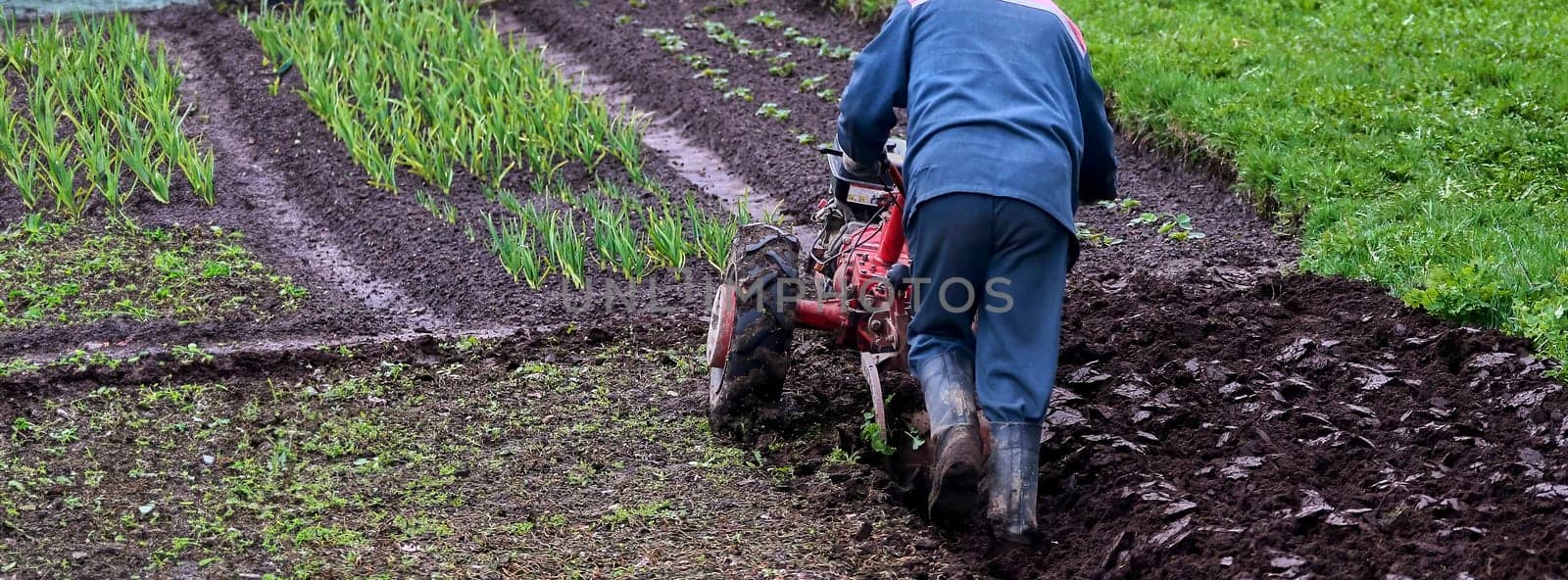 An aged red tractor plowing a vast rural field, preparing the rich soil for planting. Farmer in denim overalls guiding the tractor through fertile land on a sunny day.