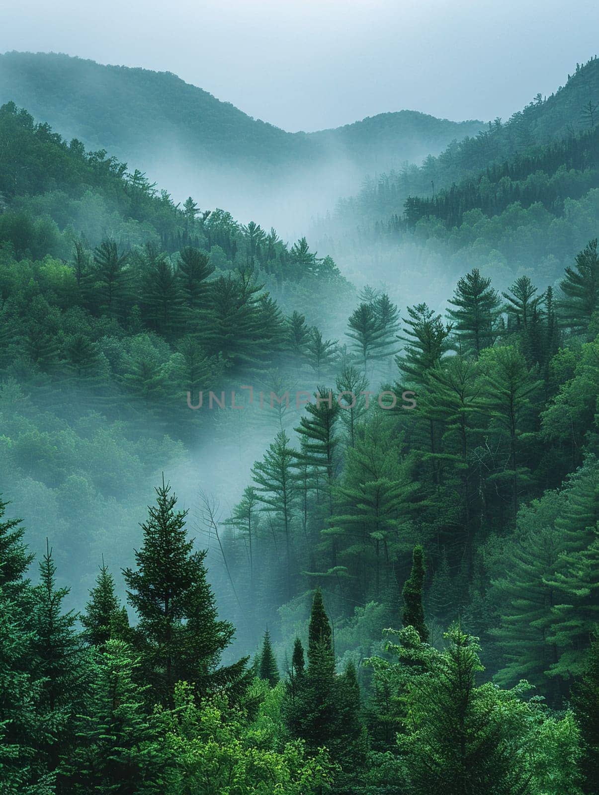 Early morning fog enveloping a forest, creating a mysterious and ethereal landscape