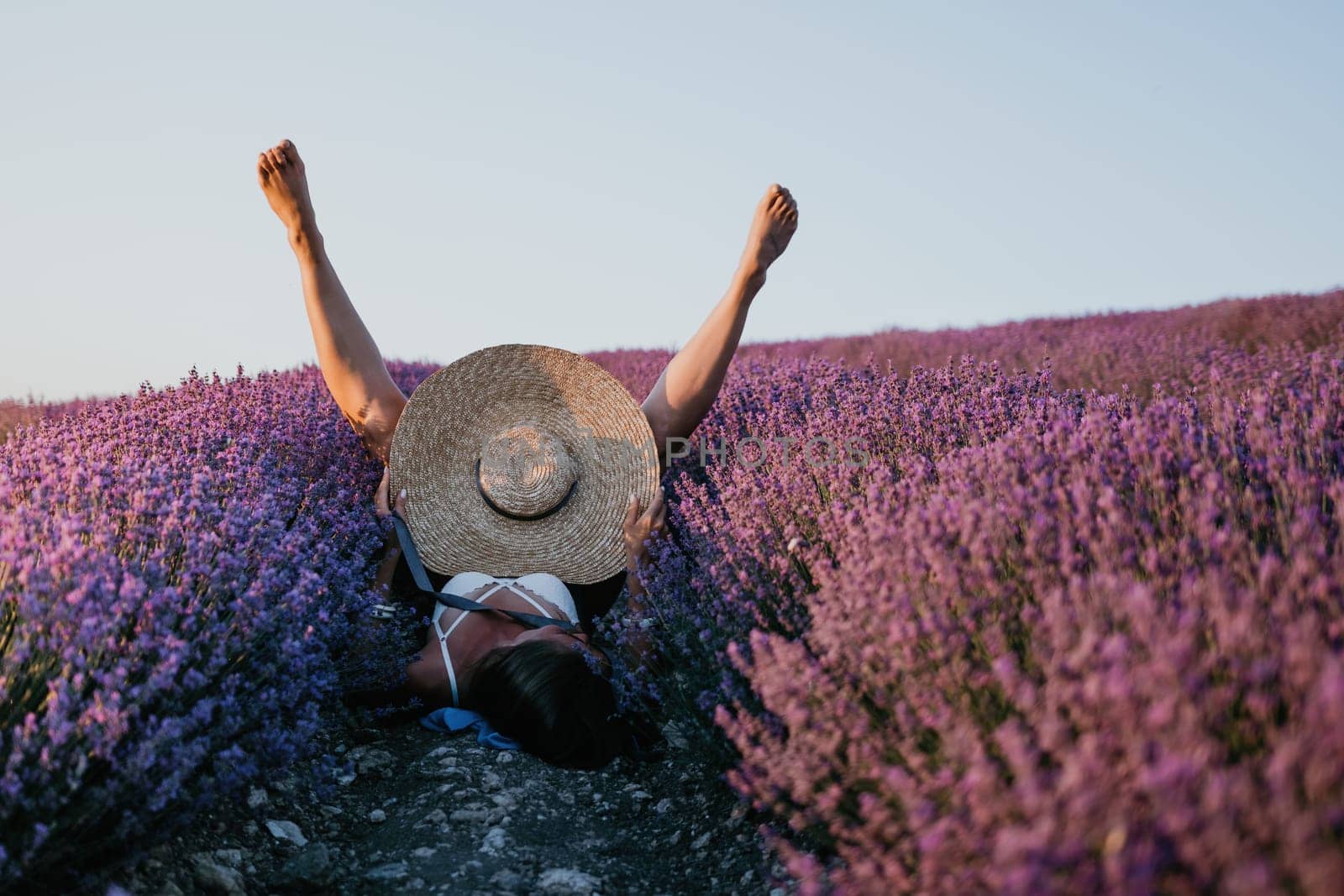 Selective focus. The girls legs stick out of the bushes, warm sunset light. Bushes of lavender purple in blossom, aromatic flowers at lavender fields.