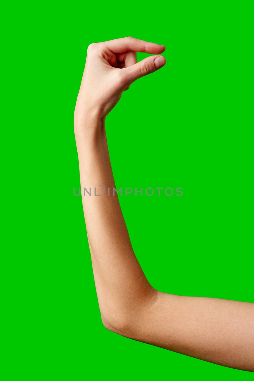 Womans Hand Reaching Up Into the Air