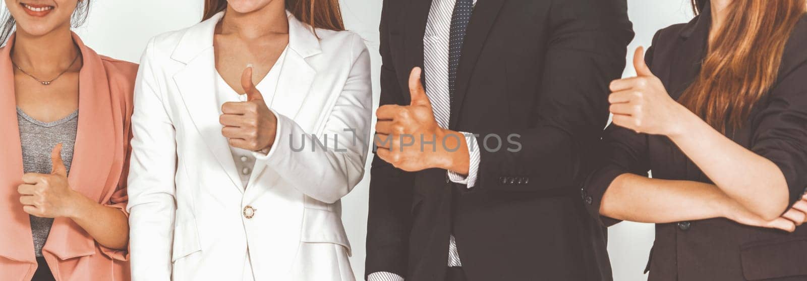 Businesswomen and businessman standing in row in office. Corporate business and teamwork concept. uds