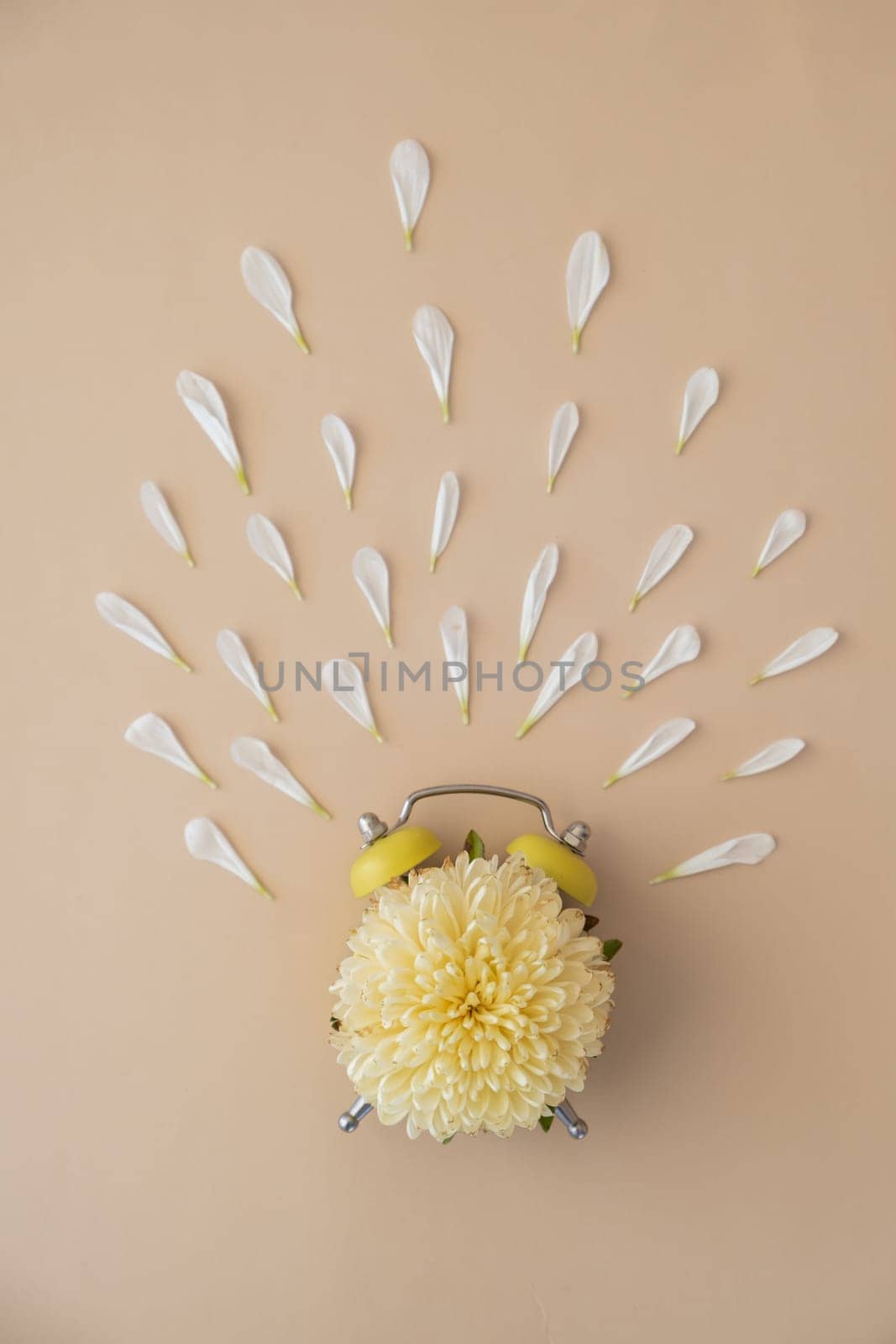 Composition of flower and alarm clock. Concept of changing summer winter time on beige background. Flat lay, top view