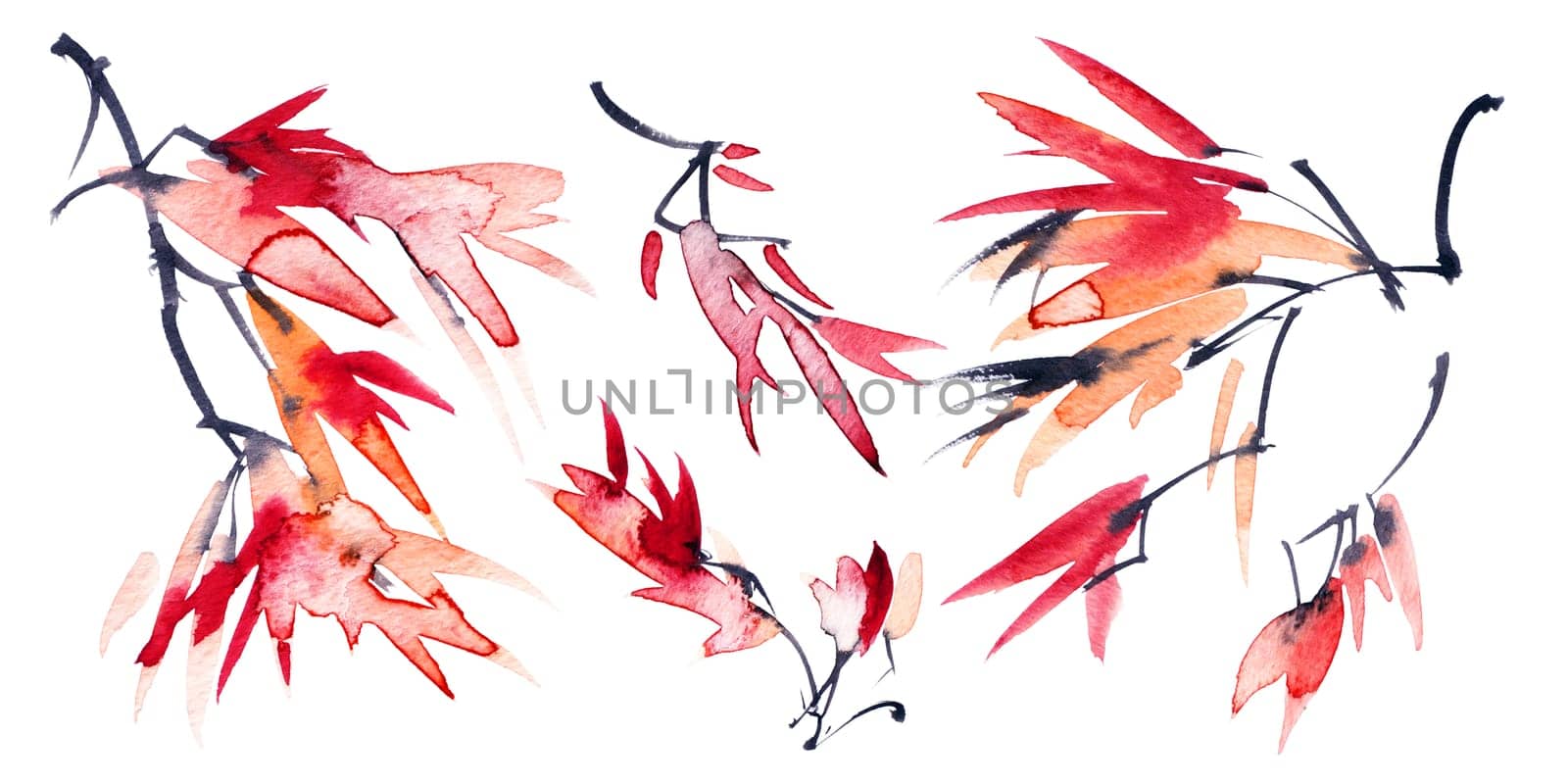 Autumn tree branch with orange and red leaves - set of 5 branches on white background. Hand drawn artistic painting in sumi-e style, japanese painting, chinese painting.