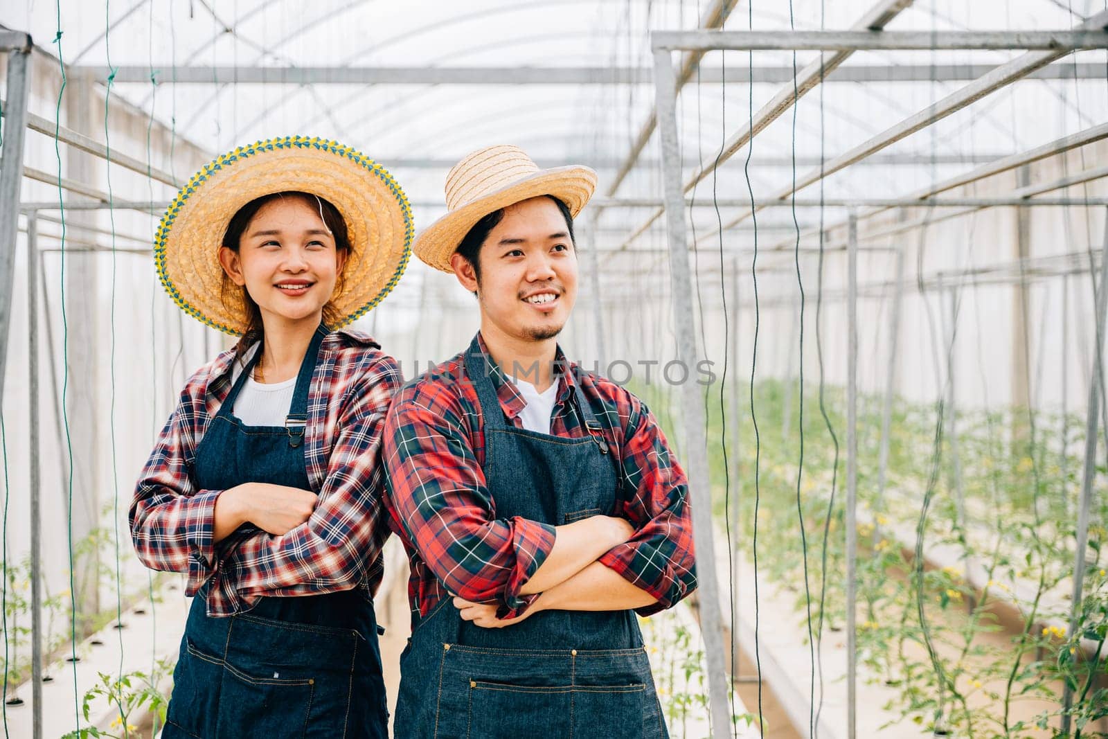 Asian couple finds joy in tomato hydroponic farm by Sorapop
