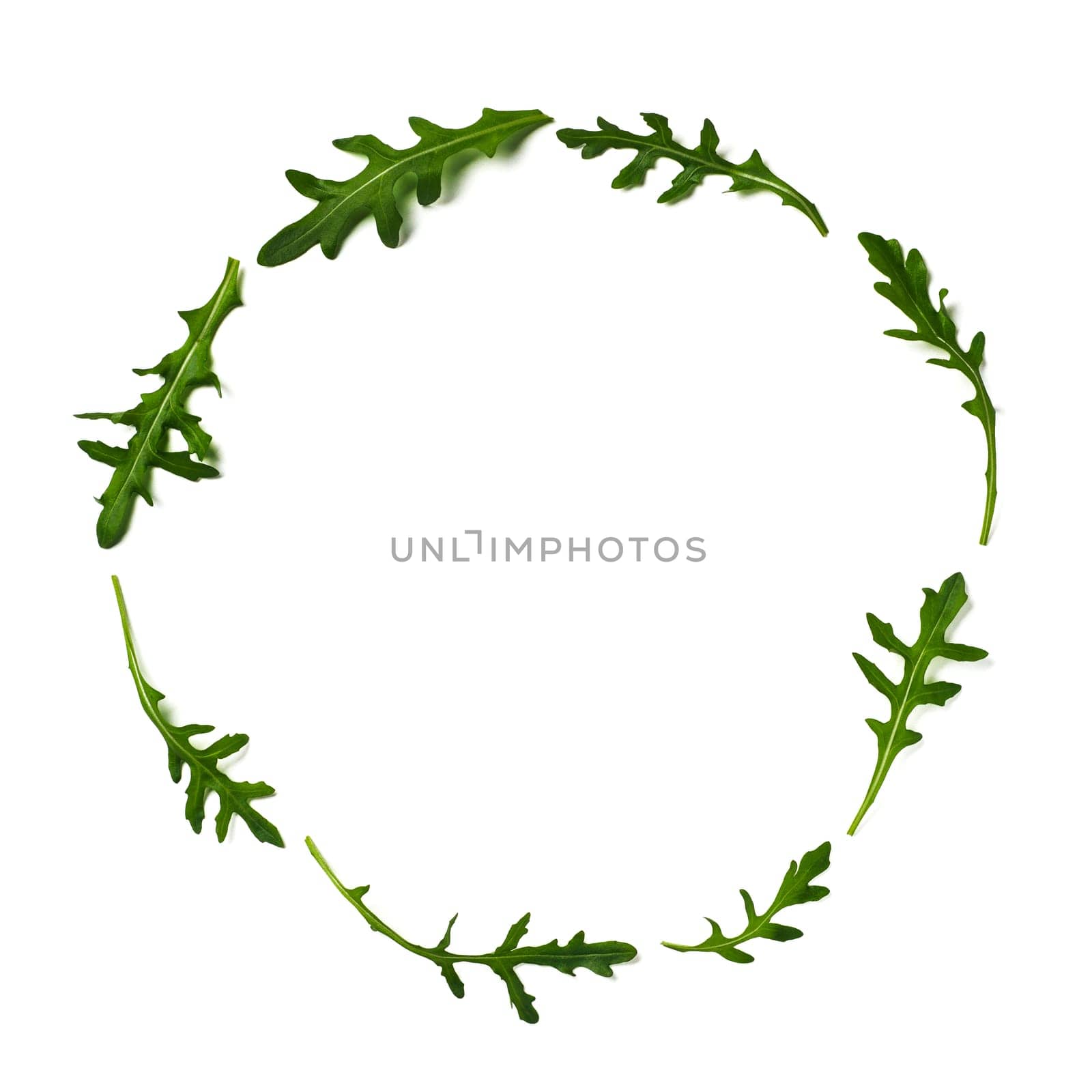 Pattern from arugula in round frame isolated by fascinadora