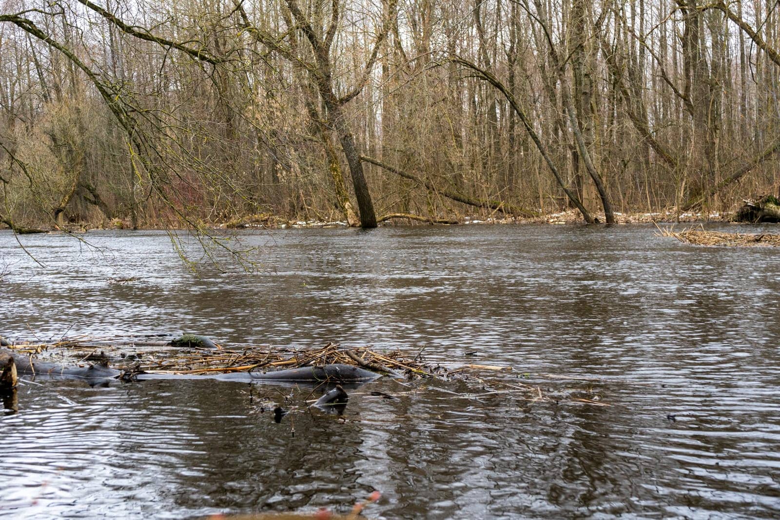 Spring flood on the river