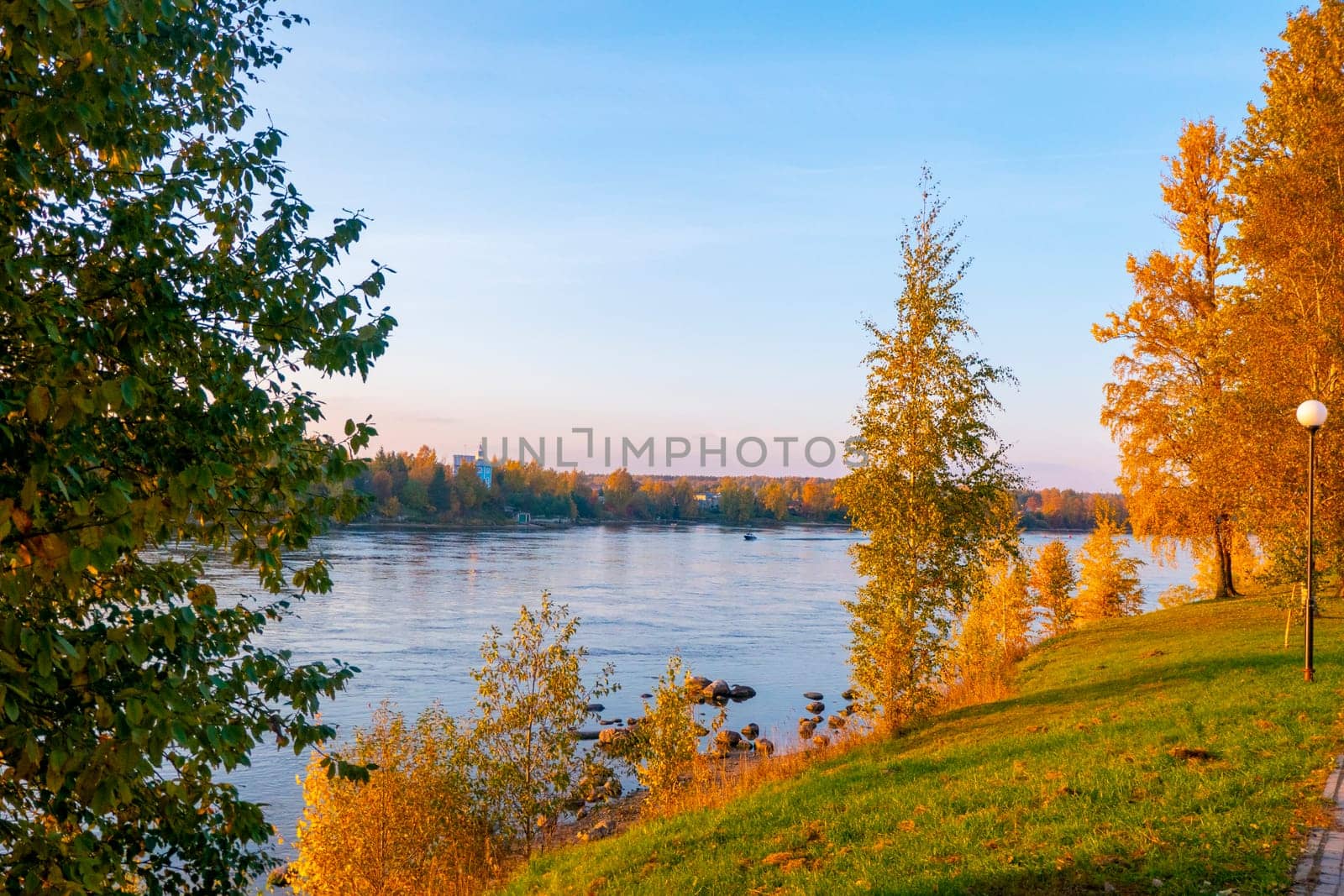 Colorful autumn landscape with birch grove with golden foliage on the shore of the lake and beautiful reflections at sunset. High quality photo