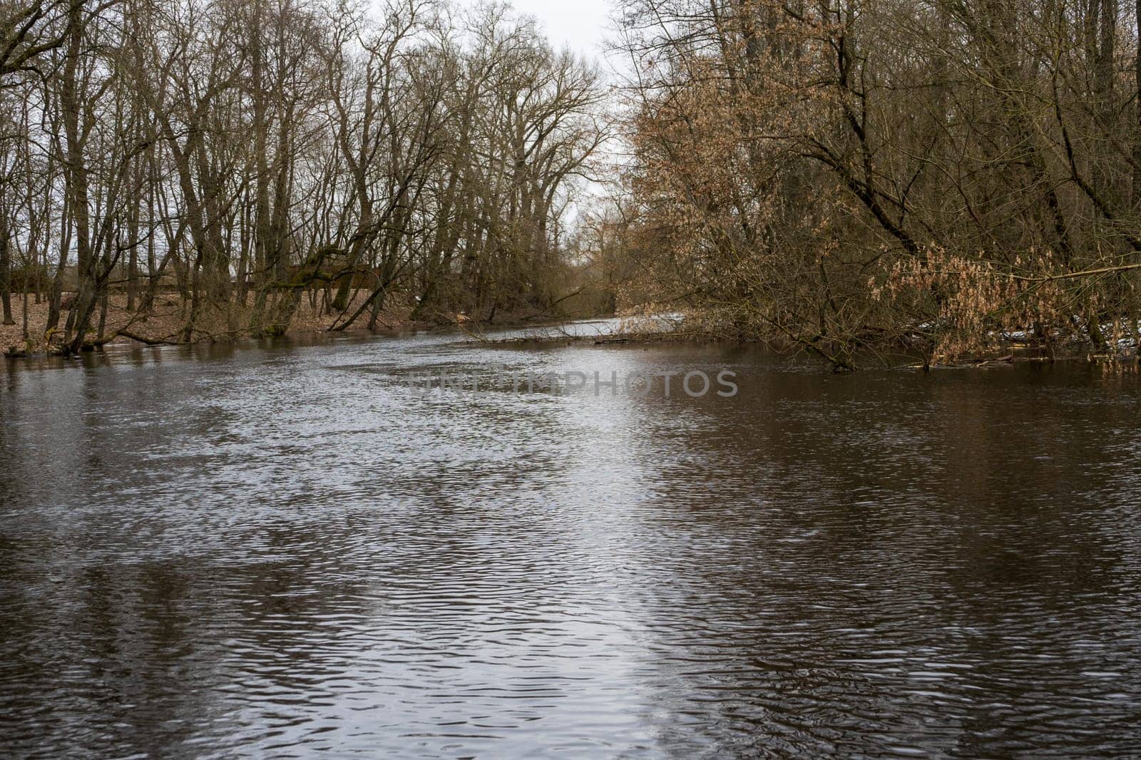 Spring flood on the river