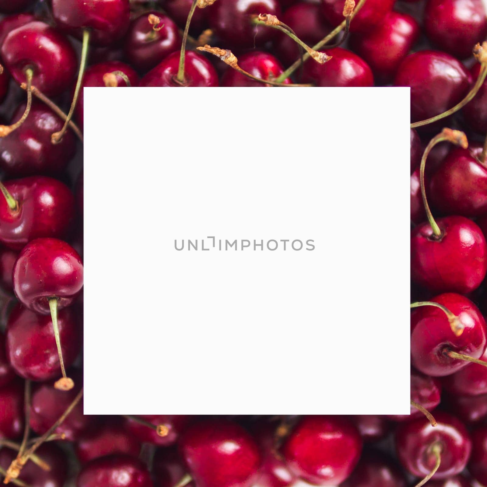 Cherry with white square, copy space by fascinadora