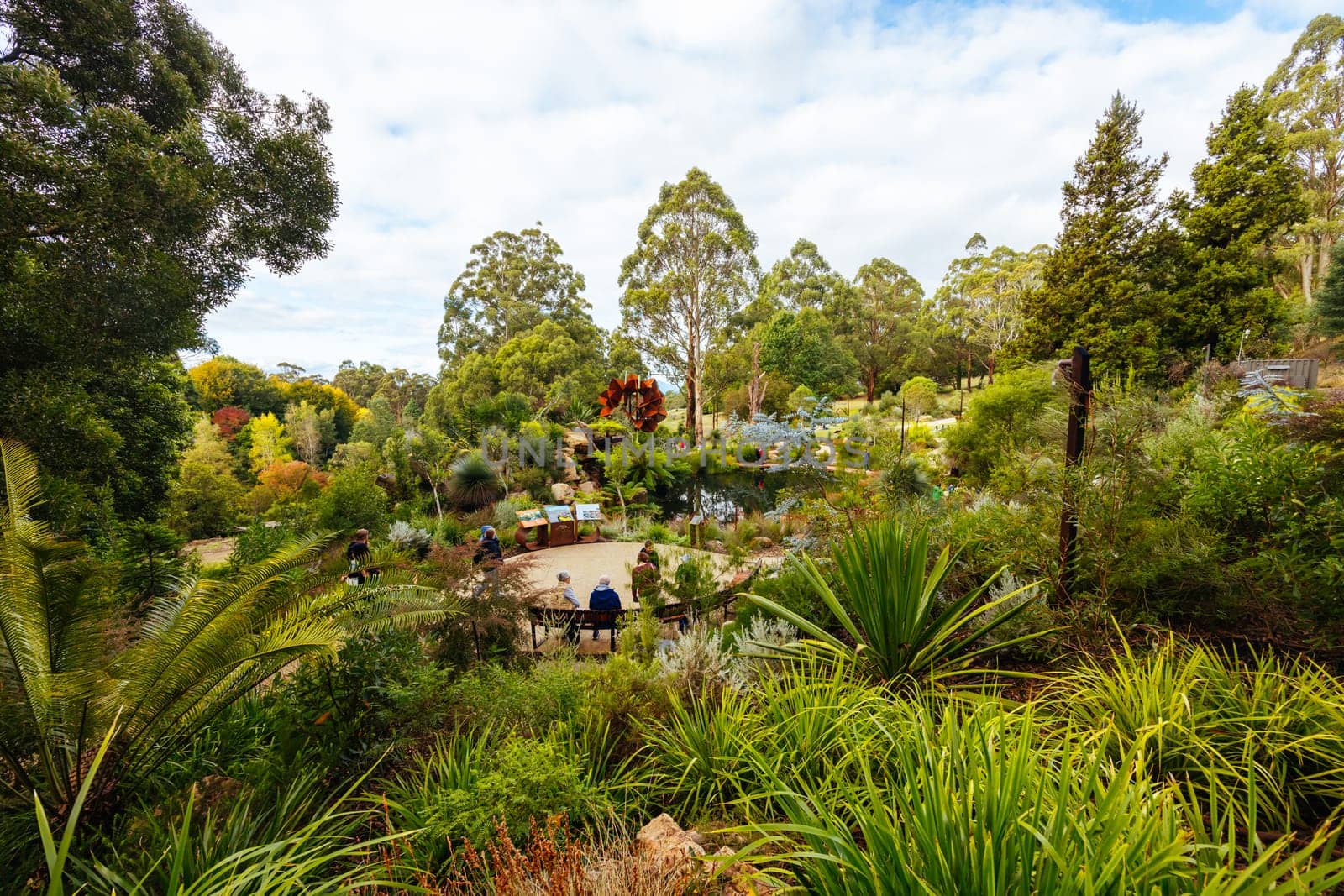 A late autumn afternoon in Dandenong Ranges Botanic Garden at Chelsea Australian Garden as part of the Olinda project in Olinda, Victoria Australia