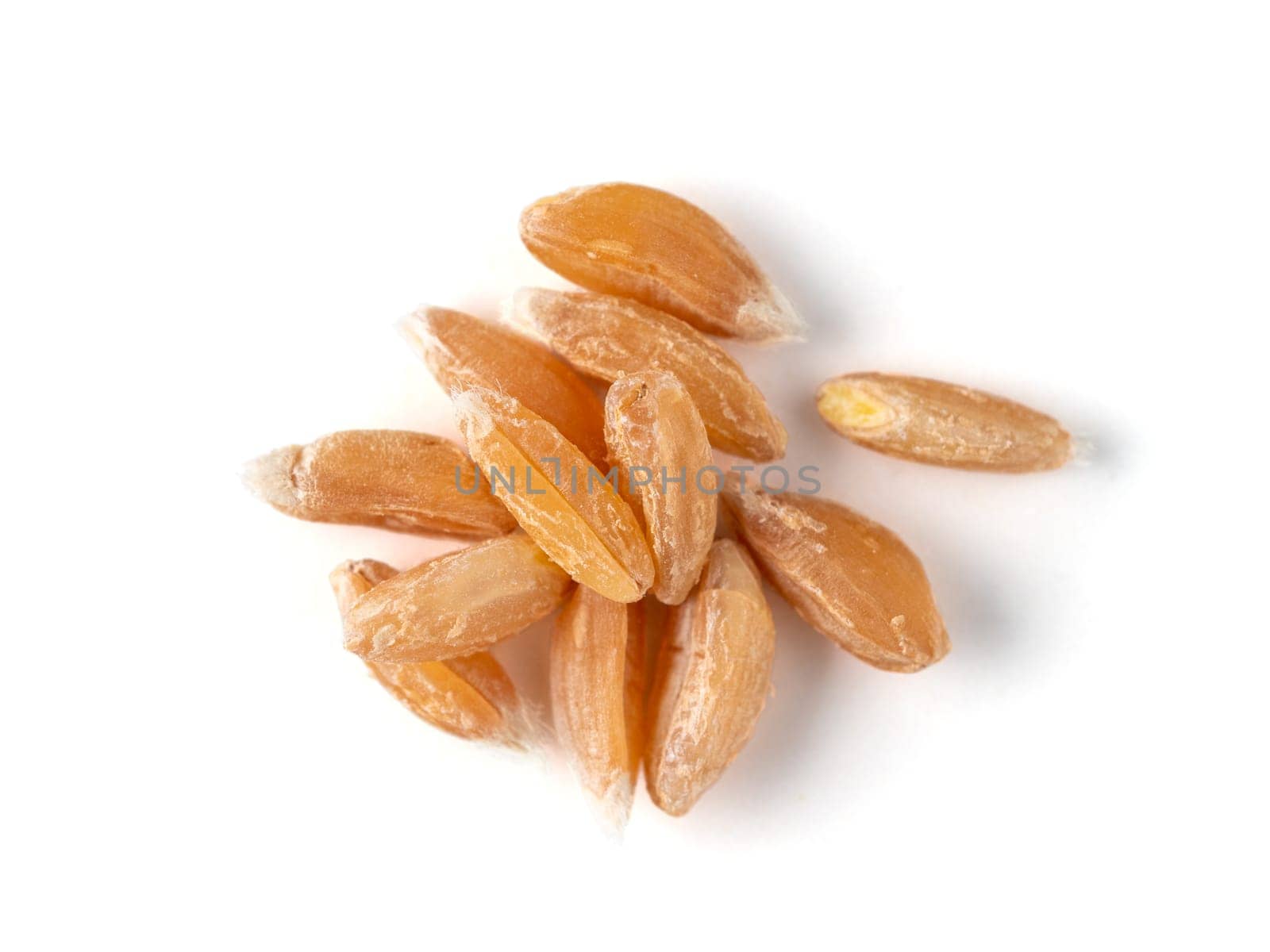 Heap of wholegrain spelt seeds isolated on white background. Spelt seeds isolated, top view or flat lay