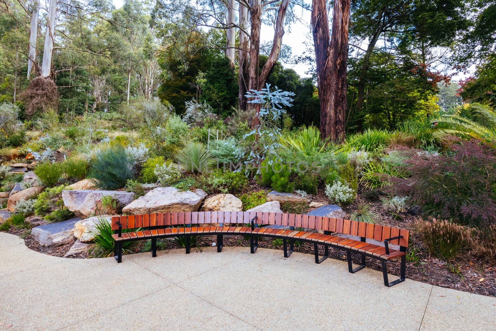 A late autumn afternoon in Dandenong Ranges Botanic Garden at Chelsea Australian Garden as part of the Olinda project in Olinda, Victoria Australia