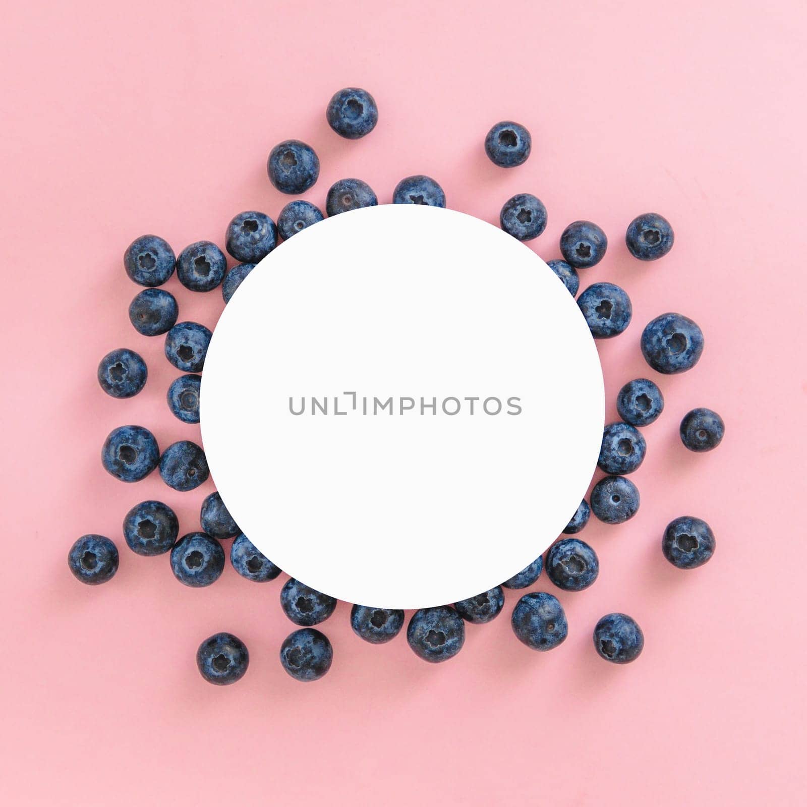 Creative layout with fresh ripe berries. Blueberry on pink background with round white circle in center for copy space. Can use for your design, promo, social media, Top view. Instagram format square.