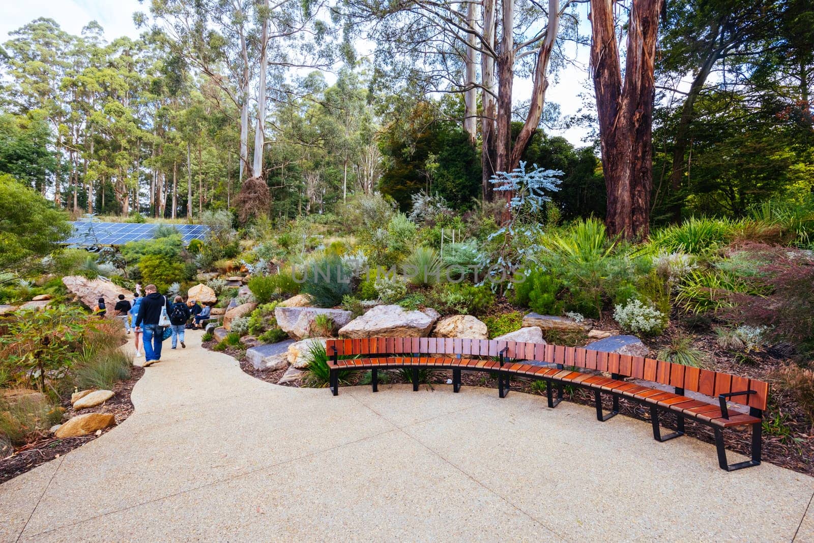 A late autumn afternoon in Dandenong Ranges Botanic Garden at Chelsea Australian Garden as part of the Olinda project in Olinda, Victoria Australia