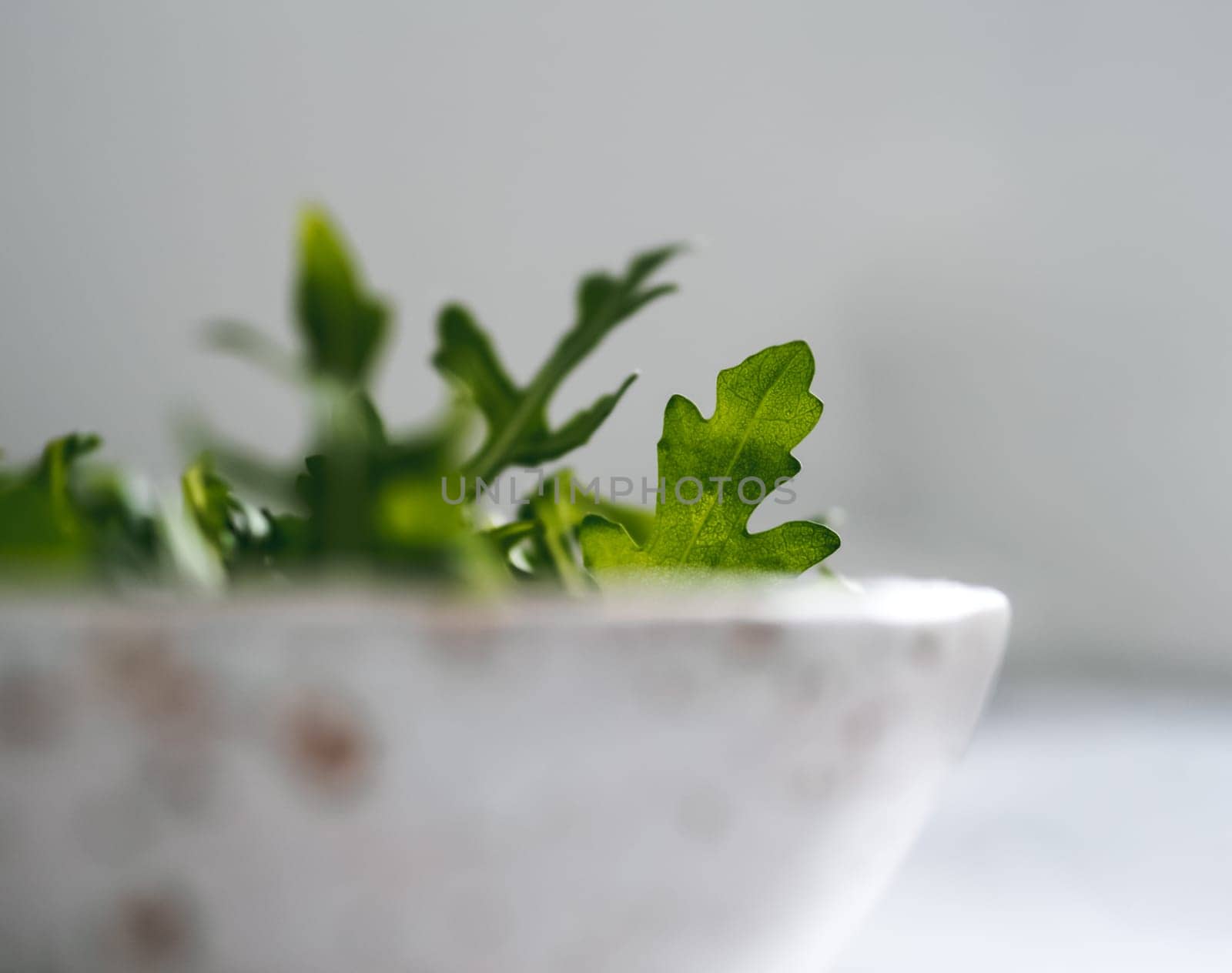 Arugula leaves in craft ceramic boul, copy space by fascinadora