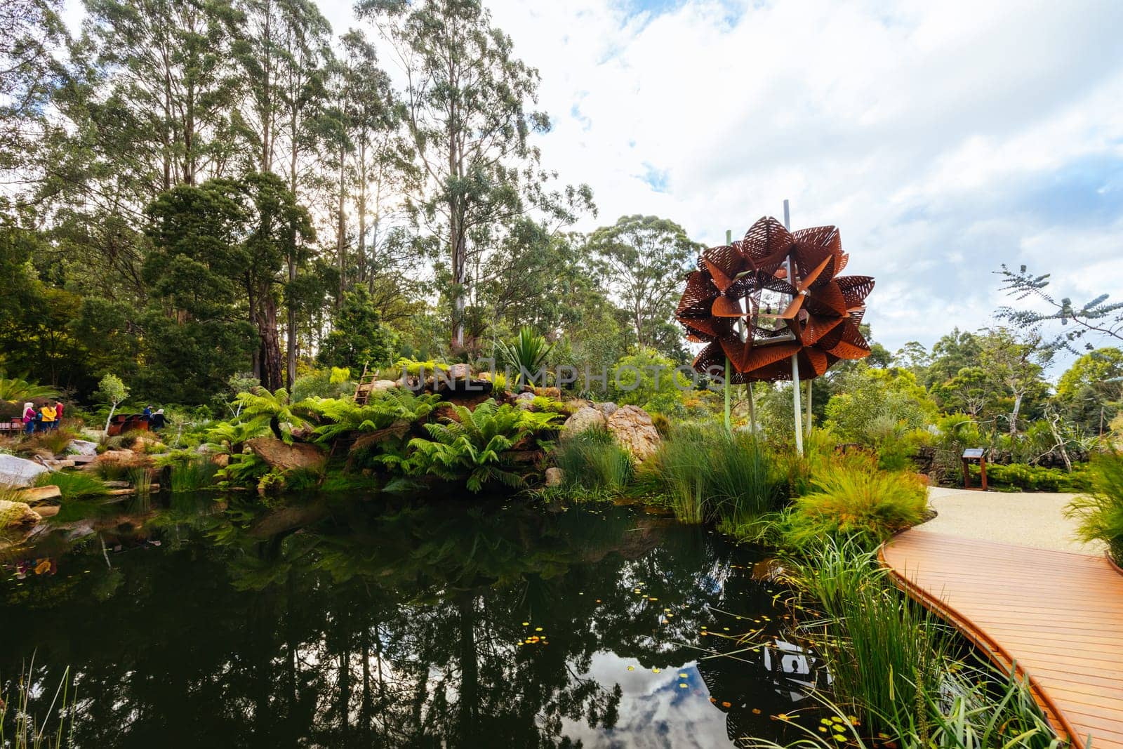 Dandenong Ranges Botanic Garden in Olinda Australia by FiledIMAGE