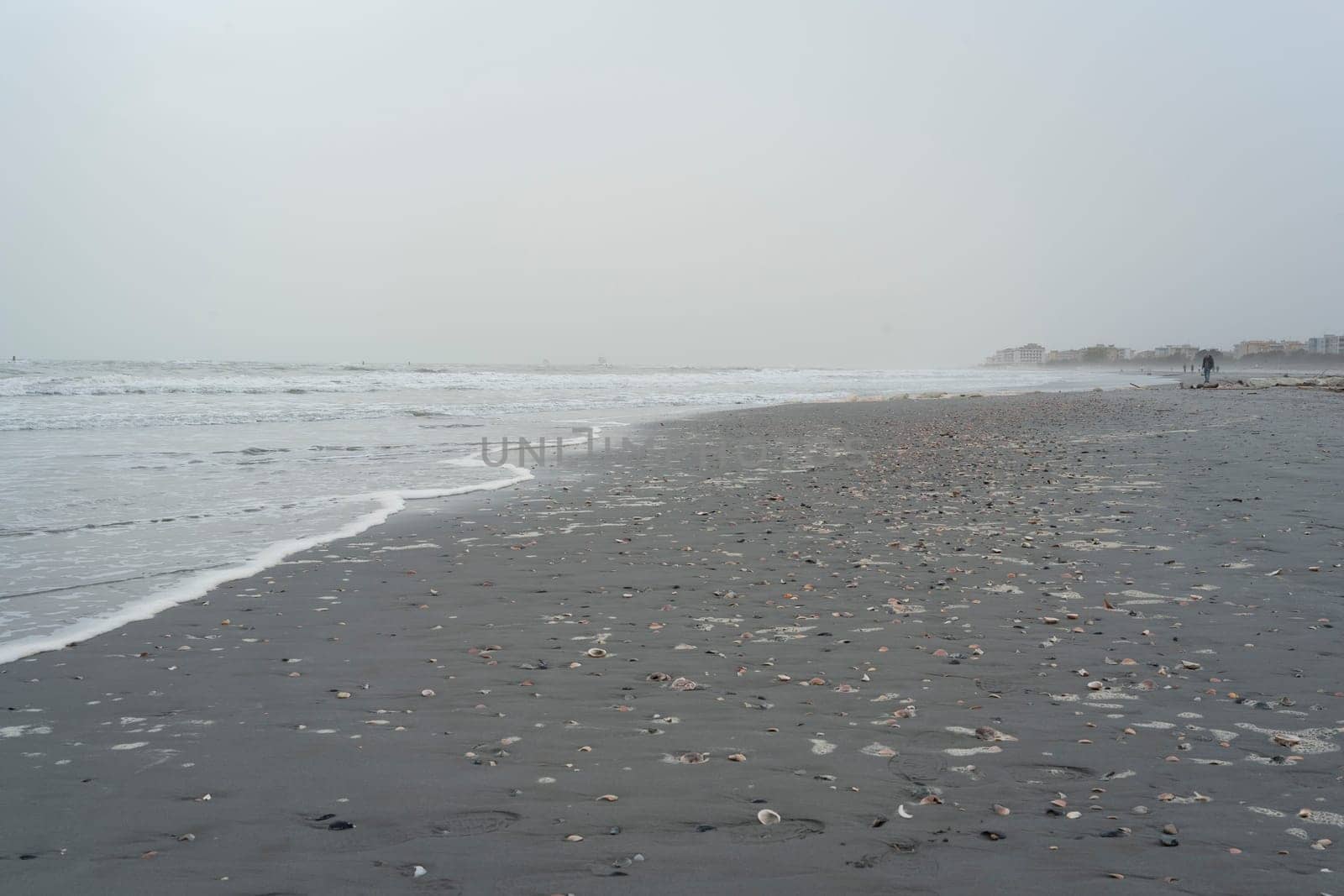 A beach with a gray sky and many seashells brought by the storm, the sea is rough, lido Adriano, Ravenna.