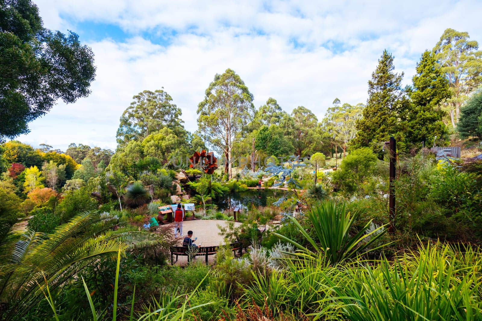 A late autumn afternoon in Dandenong Ranges Botanic Garden at Chelsea Australian Garden as part of the Olinda project in Olinda, Victoria Australia