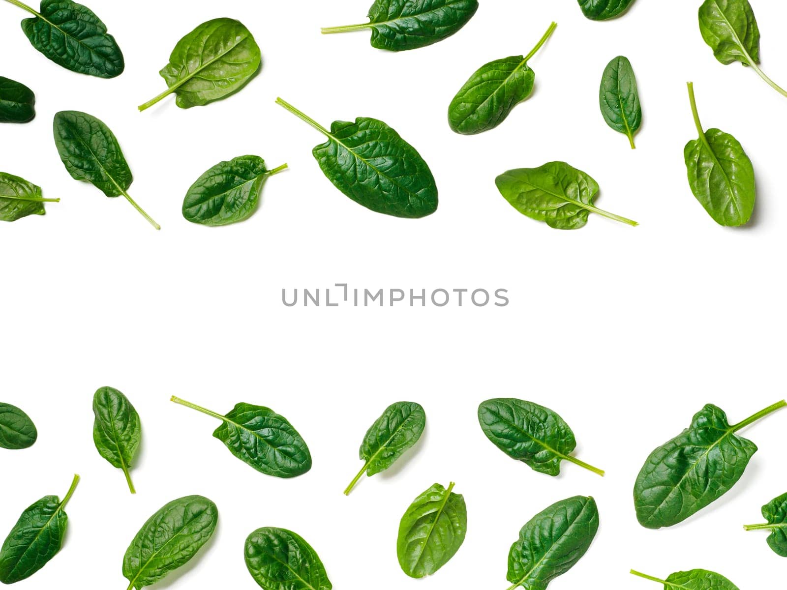 Pattern from baby spinach leaves with copy space in center. Fresh green baby spinach isolated on white with clipping path. Top view or flat lay. Can use for design vegan and keto diet