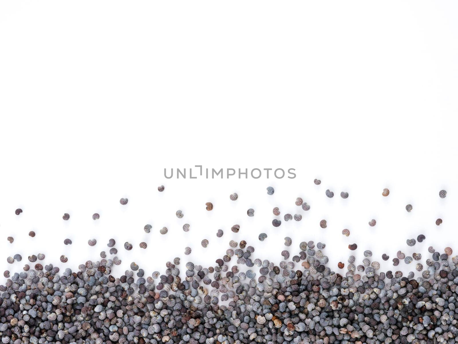 poppy seeds background with copy space. Isolated one edge. Top view or flat lay.