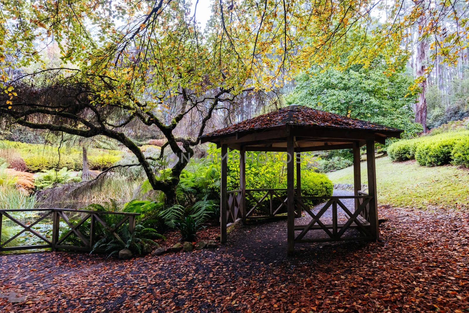 A late autumn afternoon in Dandenong Ranges Botanic Garden in Olinda, Victoria Australia