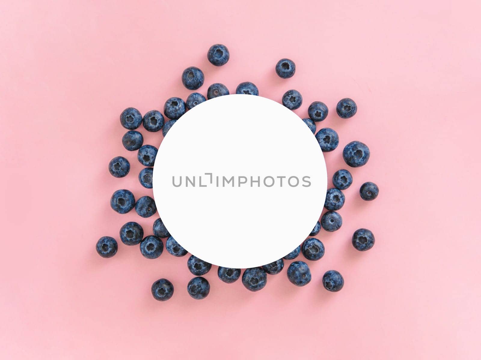 Blueberry on pink background with white circle by fascinadora