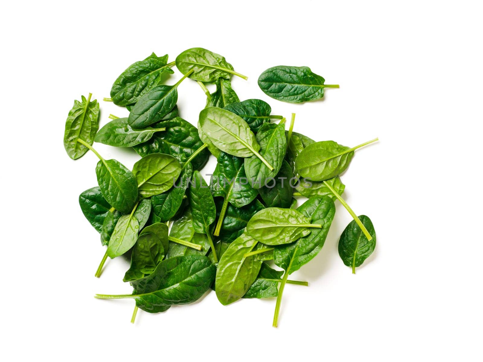 Heap of baby spinach isolated by fascinadora