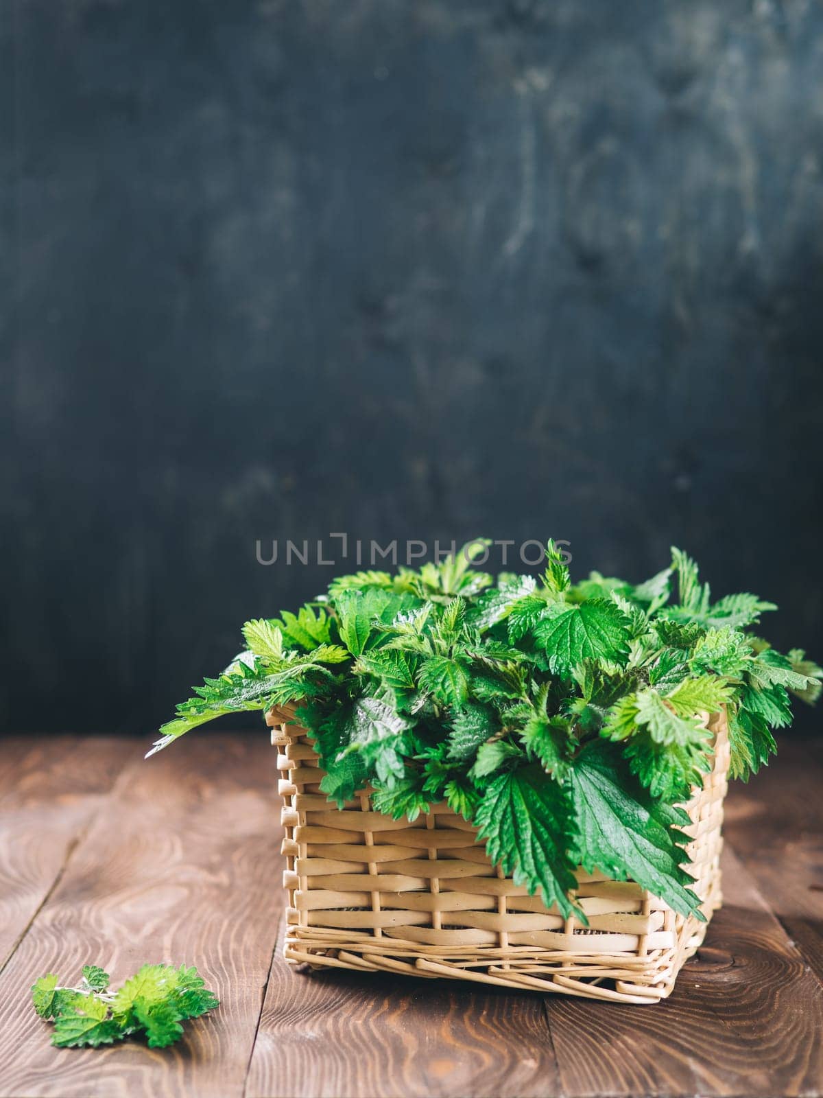 Basket of fresh stinging nettle leaves on dark wooden table. Nettle leaf with copy space. Vertical