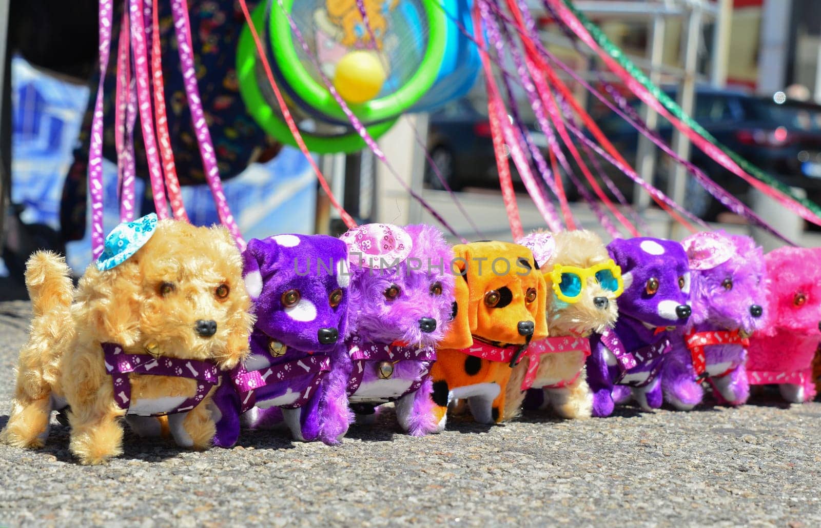 Plush colored dogs on a leash in the market