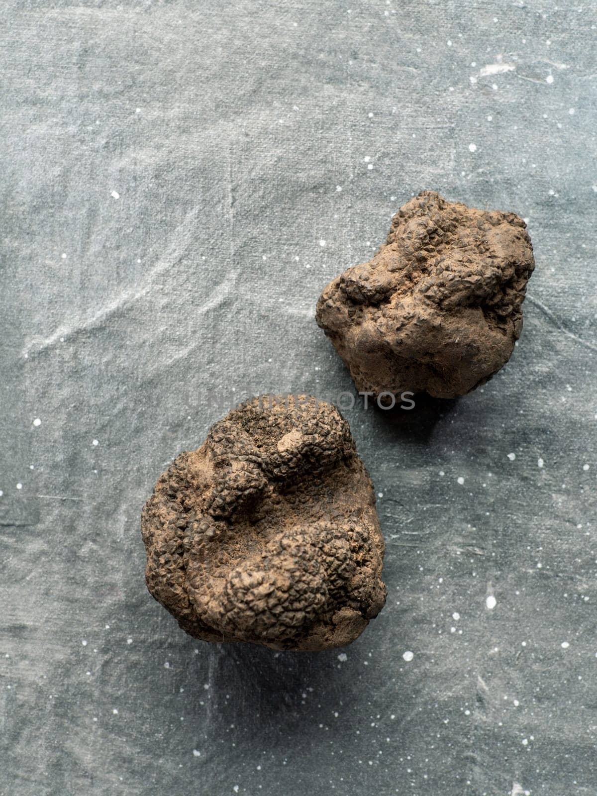Expensive rare black truffle mushroom on gray background. Vertical. Black truffles top view with copy space for text or design.